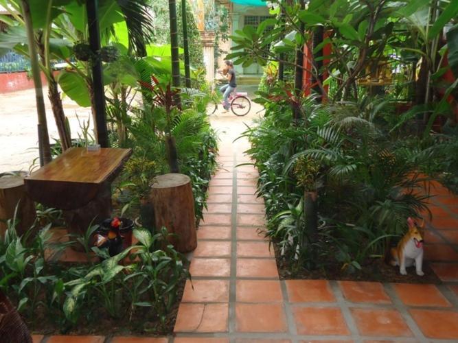 Ladybug Guesthouse Siem Reap Buitenkant foto