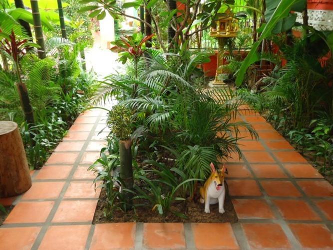 Ladybug Guesthouse Siem Reap Buitenkant foto